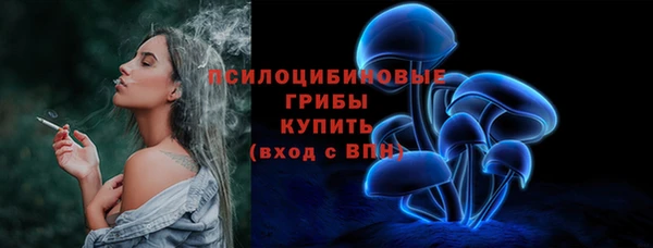 гидропоника Лабытнанги
