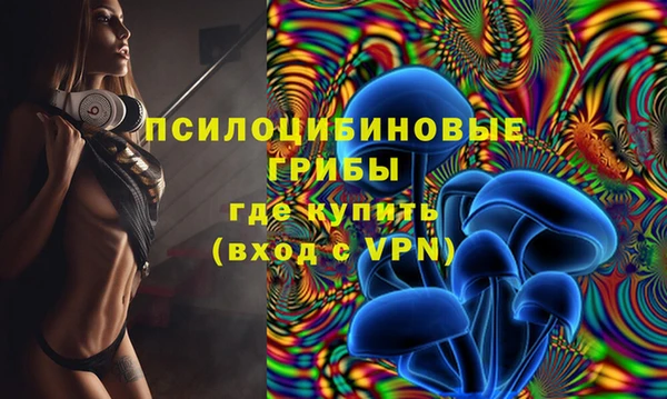 гидропоника Лабытнанги