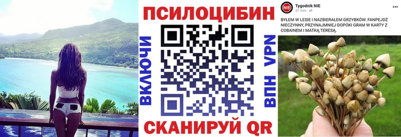 купить закладку Называевск Галлюциногенные грибы Magic Shrooms